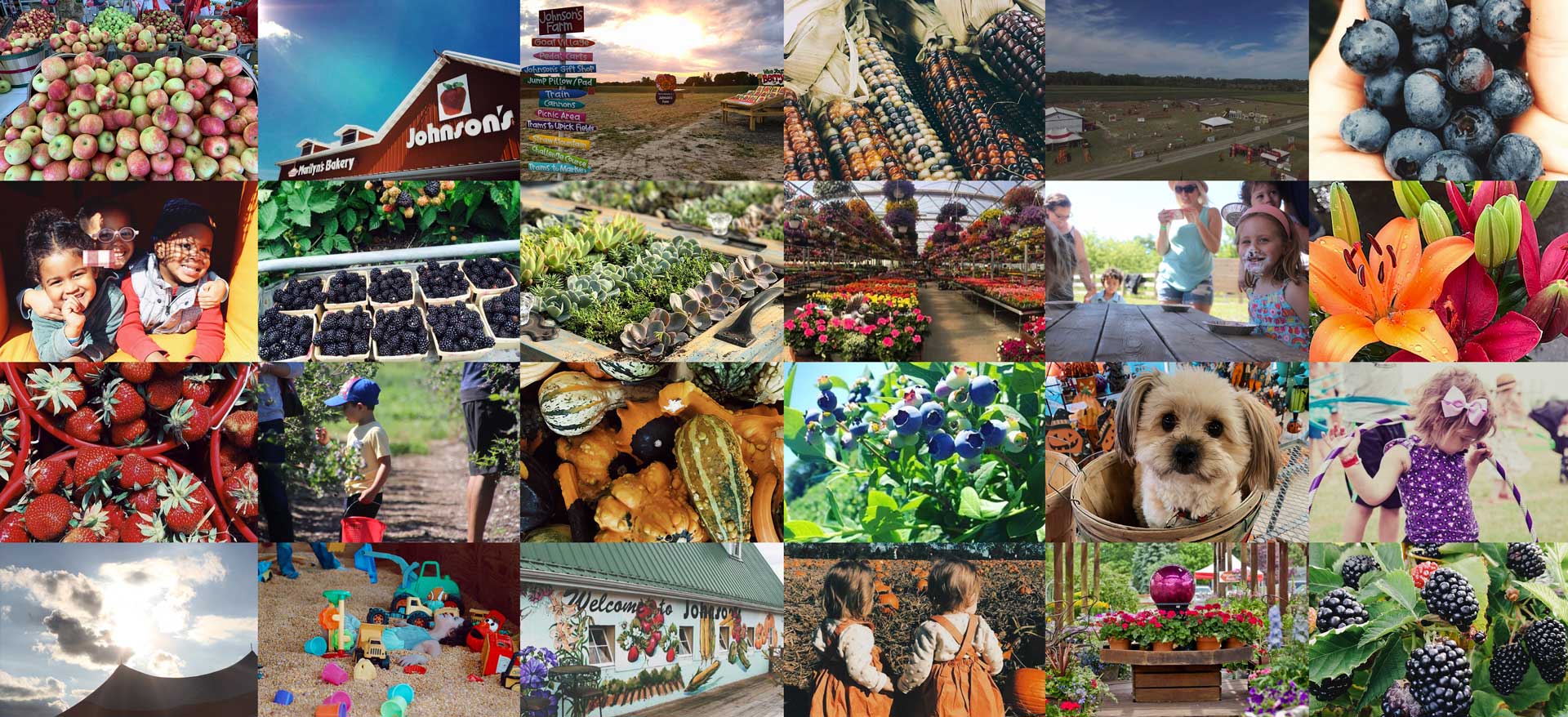 Johnsons Farm Produce Hobart IN