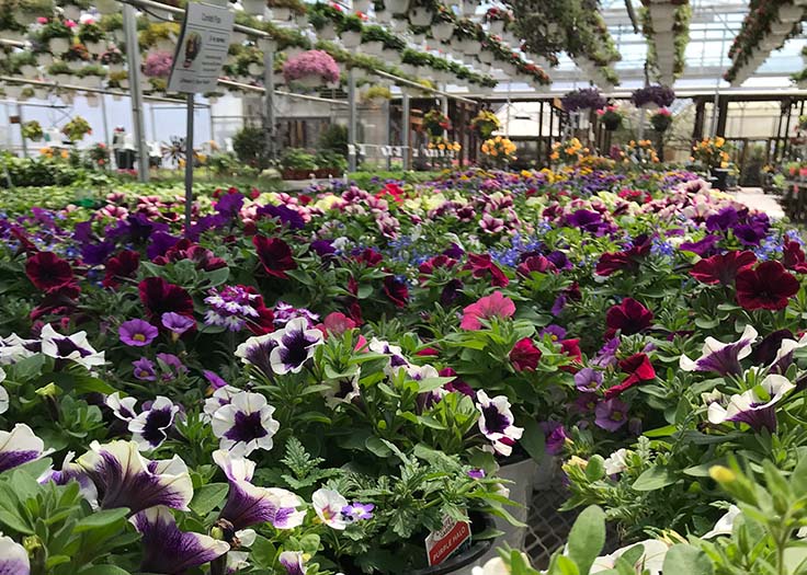 Johnson's Farm Produce Garden Center Farm Market U Pick Hobart IN