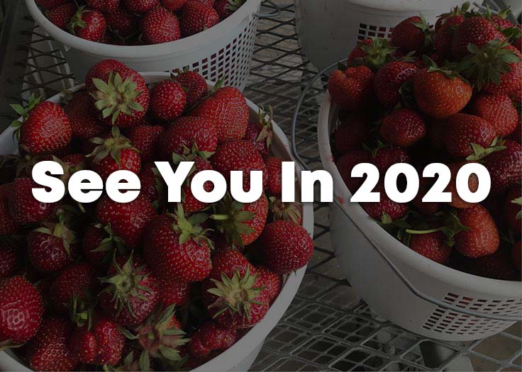 Johnson's Farm Produce Garden Center Farm Market U Pick Hobart IN