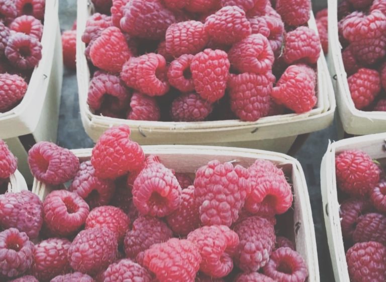 Johnson's Farm Produce Garden Center Farm Market U Pick Hobart IN