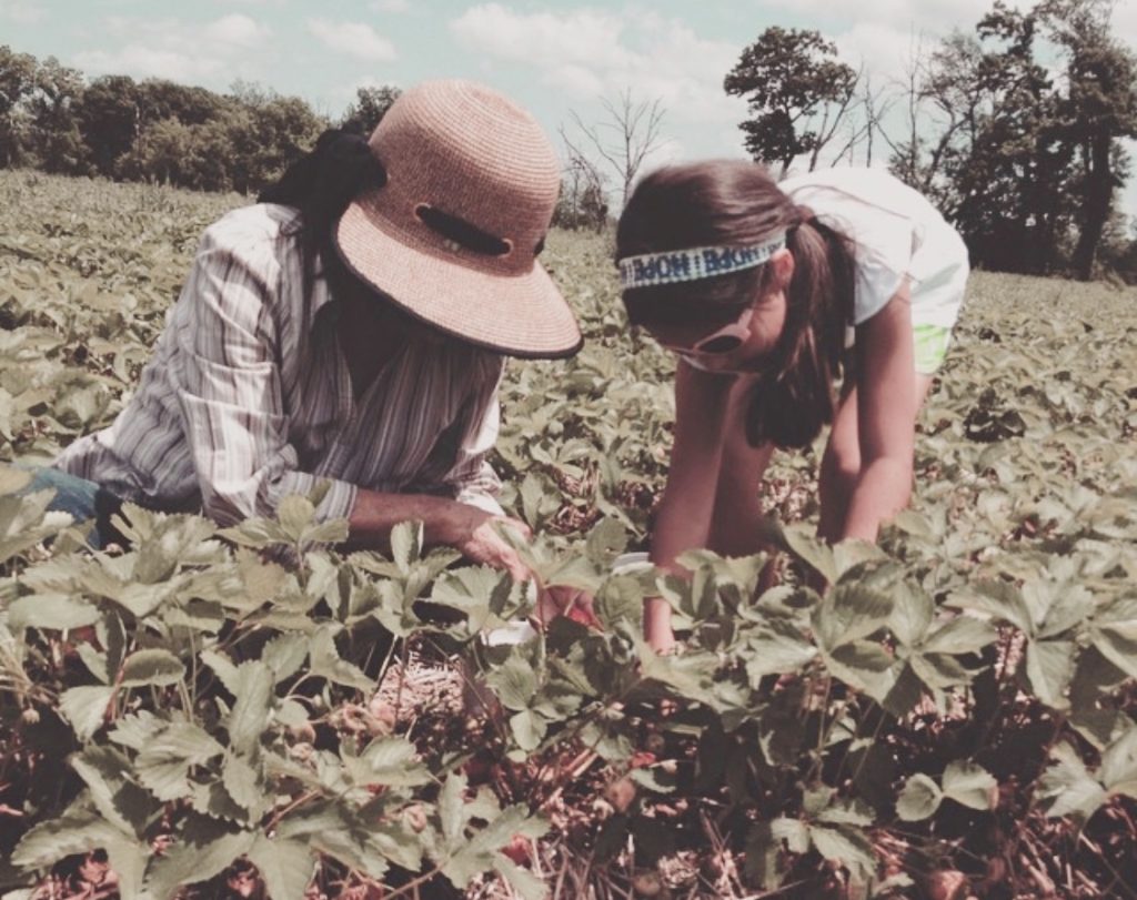 Johnson's Farm Produce Garden Center Farm Market U Pick Hobart IN
