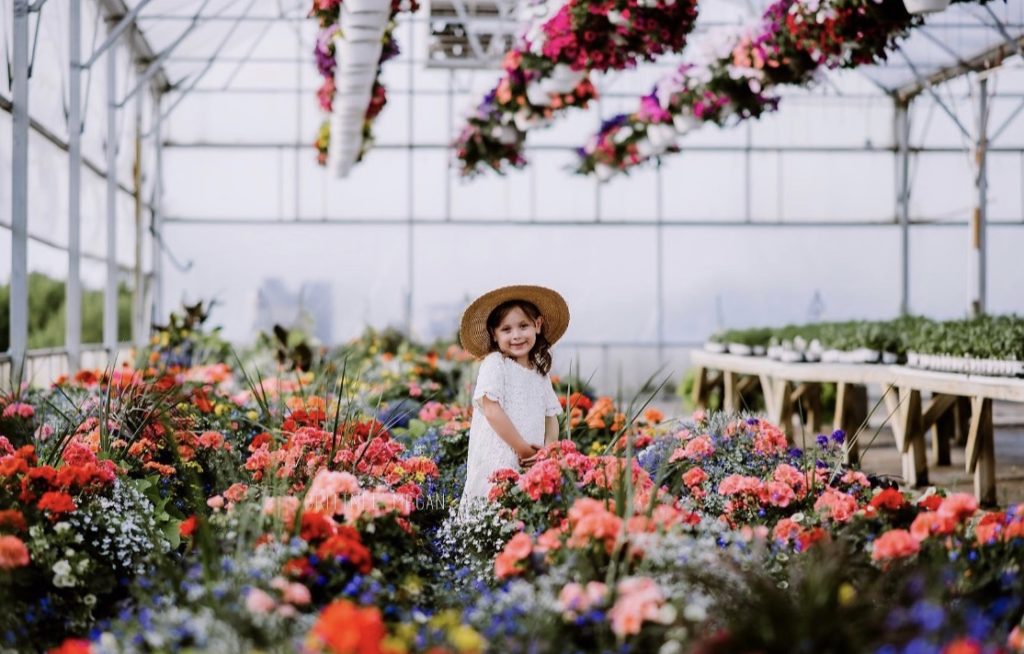 Johnson's Farm Produce Garden Center Farm Market U Pick Hobart IN