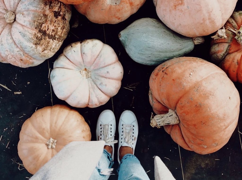 Johnson's Farm Produce Garden Center Farm Market U Pick Hobart IN