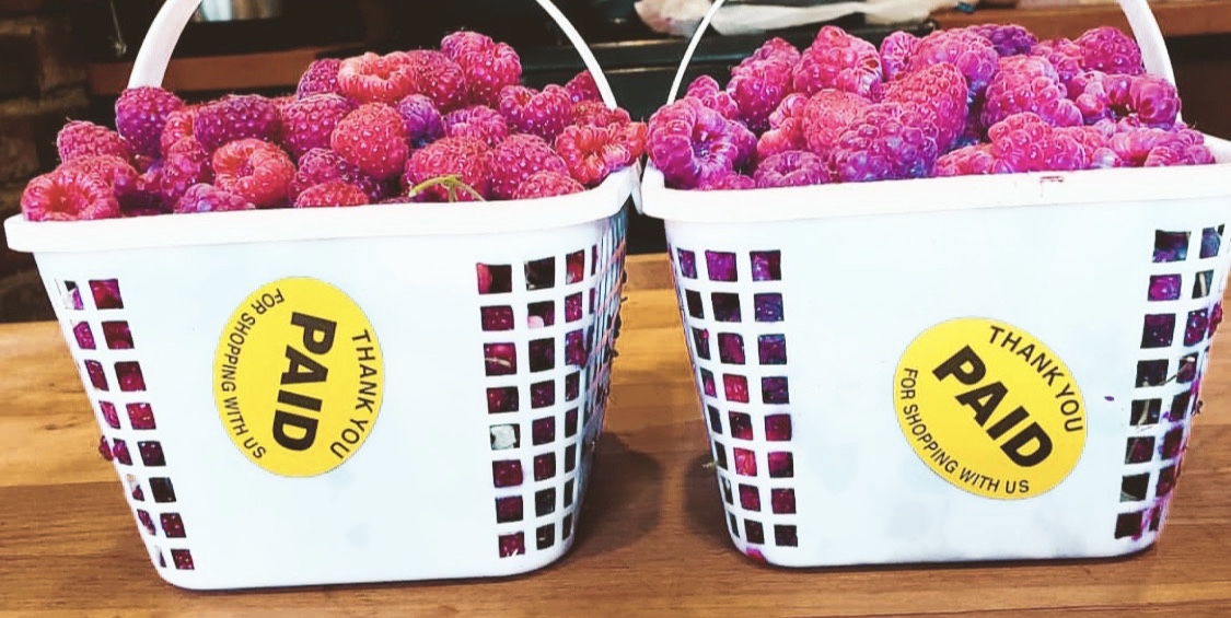 Raspberry Festival Summer 2019 Johnson's Farm Hobart, IN