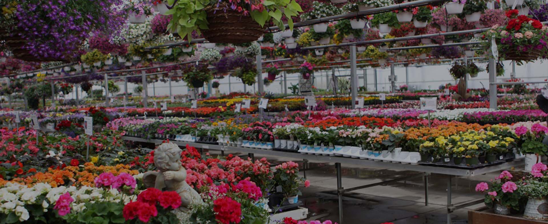 Johnson's Farm Produce Garden Center Farm Market U Pick Hobart IN